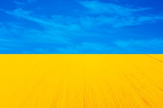 Wonderful bright symbols of flag of Ukraine