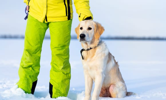 Female legs and dog in sparkling snow