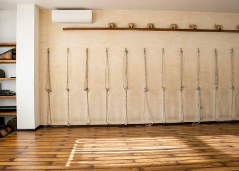 Calisthenics ropes tied up to silver rings on purple wall yoga studio. Big knots, workout, exercise, indoors stretch activity concepts
