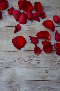 View from above on red rose petals on a textured beige background with copy space