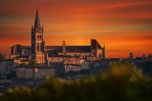 Saint-Emilion, Vineyard landscape, Vineyard south west of France, Europe