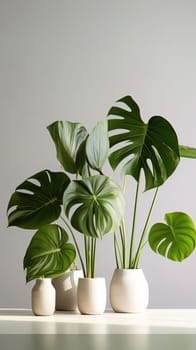 Houseplant monstera in a pot. Generative AI. High quality illustration