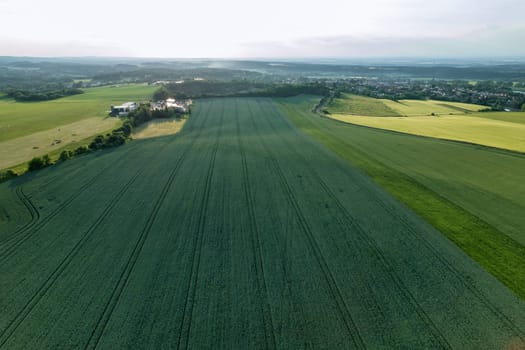 Aerial view captures beauty rural landscape, where fields young green wheat dominate scenery.