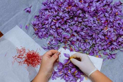Saffron has been used for centuries in traditional medicine due to its potential health benefits.