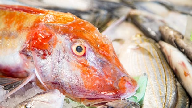 Top view of red fresh fish on a fishmonger's stall. Gourmet sea healthy food.