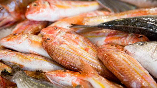 Top view of red fresh fish on a fishmonger's stall. Gourmet sea healthy food.