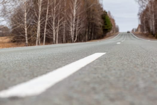 Country road with markings in the middle of the forest. Path and movement forward in cloudy weather. Beautiful forest in spring. Concept of success in future goal and time passing