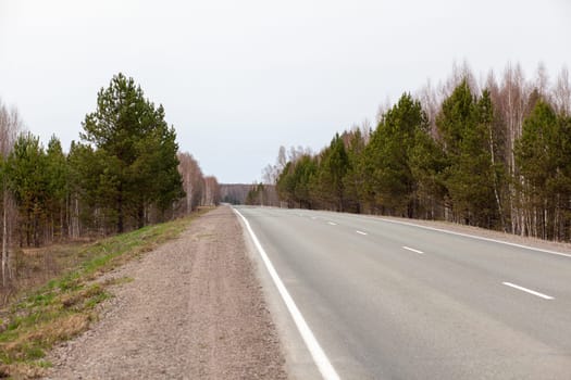 Country road with markings in the middle of the forest. Path and movement forward in cloudy weather. Beautiful forest in spring. Concept of success in future goal and time passing