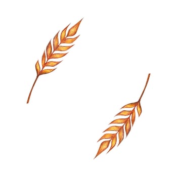 Watercolor ears of wheat frame border illustration isolated on white background. Template for decorating designs and illustrations.