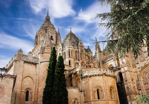 View of the towers of the old cathedral and the new cathedral of the Castilian city of Salamanca in Spain.