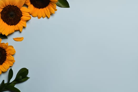 Bouquet of sunflowers on blue background. Flat lay, top view, copy space, natural background.