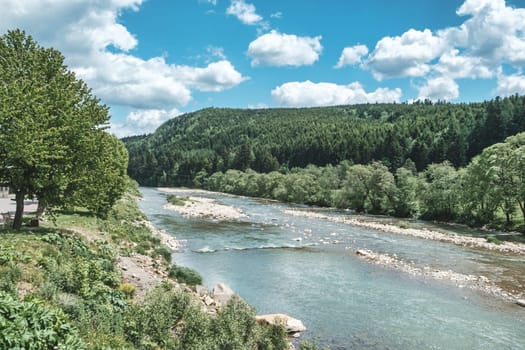 river in the mountains covers forest, beautiful river between two beautiful mountains covered with the greens, download photo