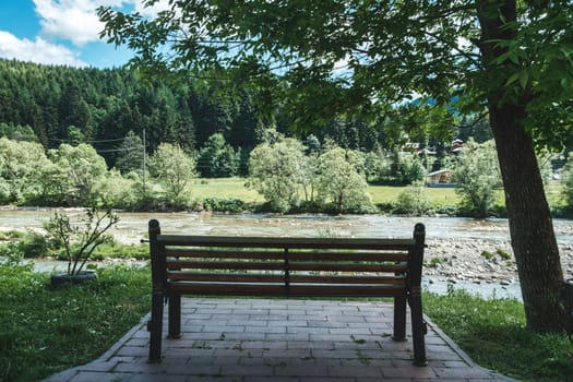 Bench on the bank of the river in summer day. Bench in the park, download photo