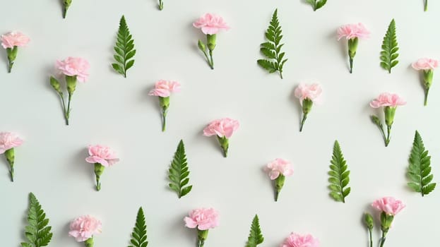 Pink carnation and fern leaves on white background. Spring floral background flowers patterns blooming for wallpaper.