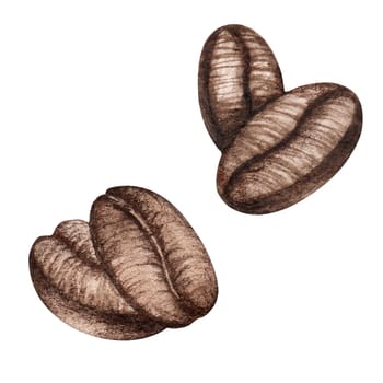 Watercolor hand drawn roasted brown coffee beans illustration isolated on white background.