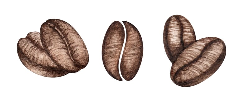 Watercolor hand drawn brown coffee beans illustration isolated on white background.