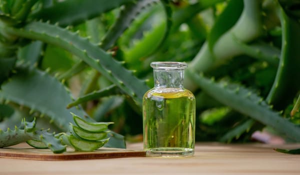 aloe vera essential oil on a wooden background, juice. Selective focus