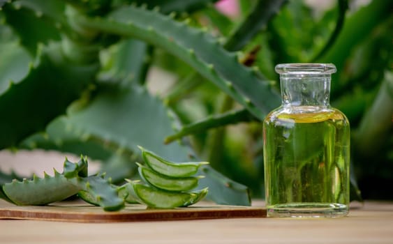 aloe vera essential oil on a wooden background, juice. Selective focus