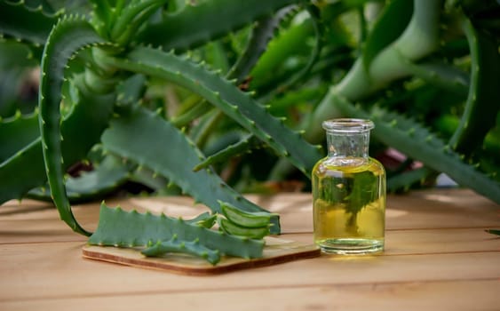 aloe vera essential oil on a wooden background, juice. Selective focus