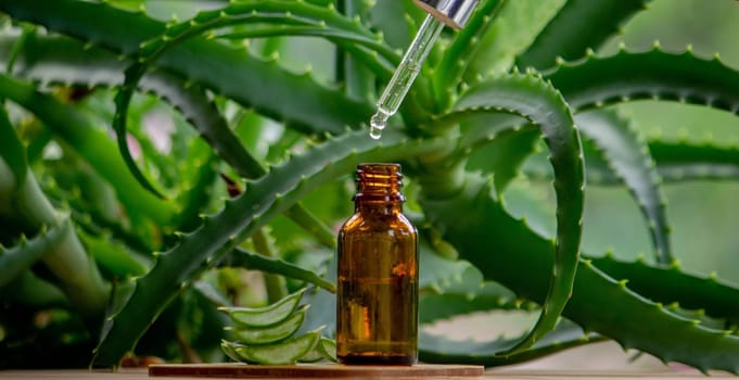 aloe vera essential oil on a wooden background, juice. Selective focus