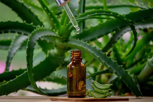 aloe vera essential oil on a wooden background, juice. Selective focus
