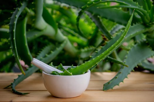 Natural moisturizer for skin care with fresh aloe vera. Selective focus