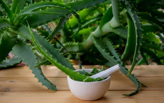 Natural moisturizer for skin care with fresh aloe vera. Selective focus