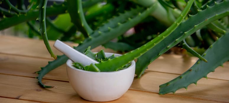 Natural moisturizer for skin care with fresh aloe vera. Selective focus