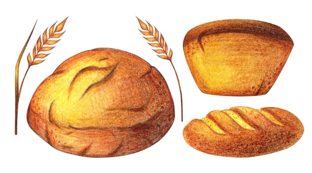 Watercolor Bread set illustration. Different type of bread. Daily Fresh organic pastries products, bread, baguette, ears and wheat. Vintage set, isolated. For menu, card, poster, banner