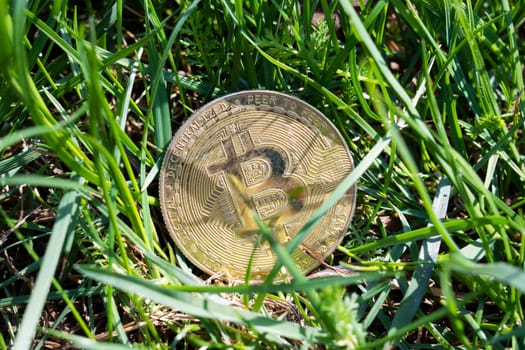 Bitcoin coin in the green grass close up