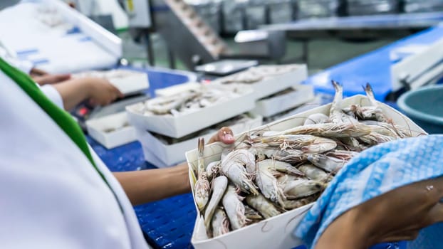 Closeup at the hands of a Latina worker holding a box of frozen white shrimp