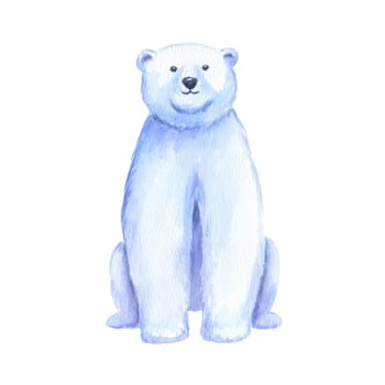 Adult polar bear. Watercolor hand drawn illustration isolated on white. North animal.