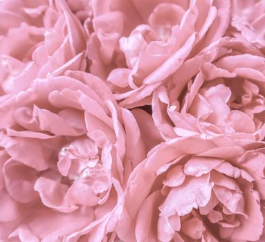 Background of beautiful pink roses. Ideal for greeting cards for wedding, birthday, Valentine's Day, Mother's Day.