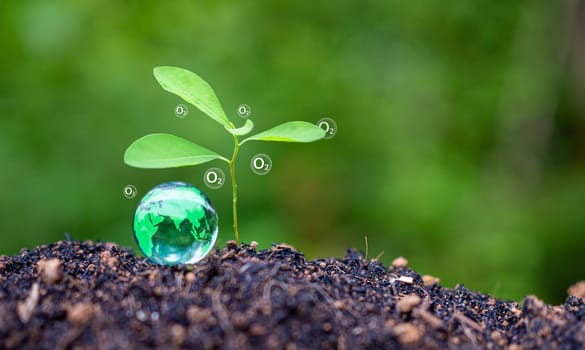 CO2 emission reduction concept, clean and friendly environment without carbon dioxide emissions. Planting trees to reduce CO2 emissions, environmental protection concept.