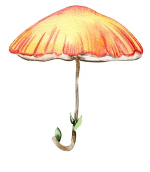 Flower umbrella for fairy. Hand painted fairy tale illustration for greeting cards, prints, post cards and souvenirs. Illustartion isilated on white background.