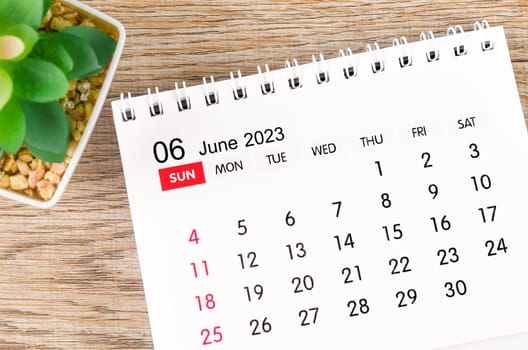 June 2023 desk calendar for 2023 with plant pot on wooden background.