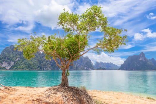 Mountains, forests, trees in the rainy season, Cheow Lan Dam or Ratchaprapha Dam Surat Thani Province, Thailand