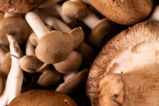 Full frame shot of fresh brown mushrooms. unaltered, fungus, healthy food, raw food and organic concept.
