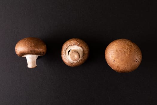 Overhead view of mushrooms arranged side by side on black background, copy space. unaltered, food, studio shot, healthy eating.