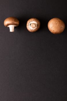 Close-up of mushrooms arranged side by side on black background, copy space. unaltered, food, studio shot, healthy eating.