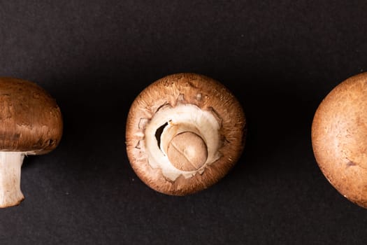 Overhead view of mushrooms arranged on black background, copy space. unaltered, food, studio shot, healthy eating.