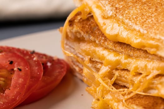 Close-up of fresh cheese sandwich served with tomato slices in plate. unaltered, food, unhealthy eating and snack concept.