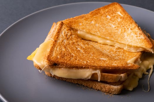 High angle view of fresh toast cheese sandwich serving in plate. unaltered, food, unhealthy eating and snack concept.