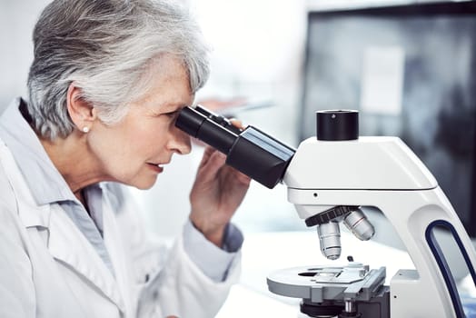 Making medical breakthroughs. a focused elderly female scientist looking through a microscope while being seated in a laboratory