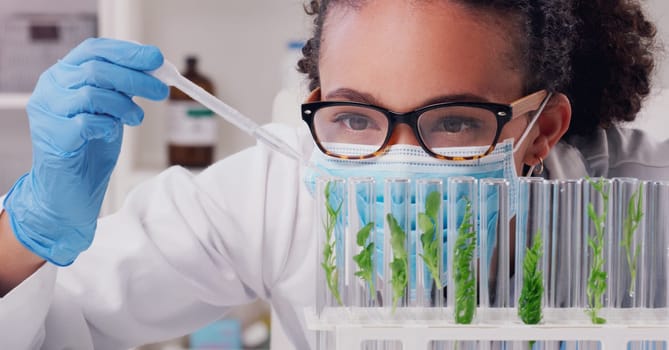 Science, test tube and plant with woman in laboratory for medical, pharmacy and research. Biotechnology, growth and healthcare study with scientist and focus for sustainability, vaccine and medicine.
