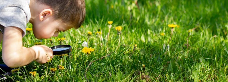 the boy looks at the flower through a magnifying glass. selective focus