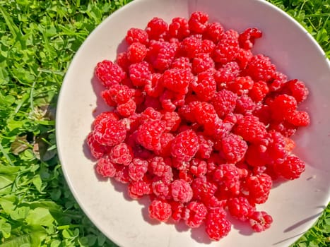 Red fresh raspberries on white rustic wood background. Bowl with natural ripe organic berries