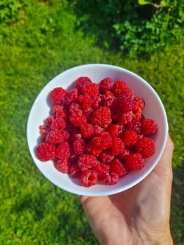 Red fresh raspberries on white rustic wood background. Bowl with natural ripe organic berries