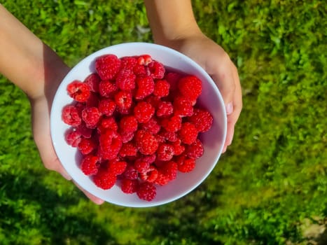 Red fresh raspberries on white rustic wood background. Bowl with natural ripe organic berries