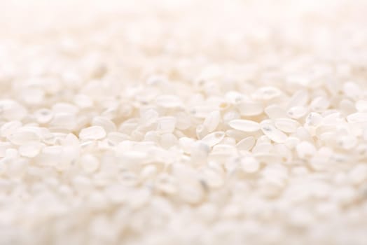 Raw white polished milled edible rice crop on white background in brown bowl, organic agriculture design concept. Staple food of Asia, close up.